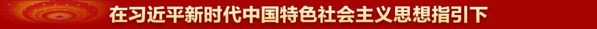 在習(xí)近平新時(shí)代中國特色社會(huì)主義思想指引下 
